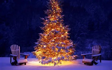 10 Stunning Christmas Tree Ideas to Transform Your Home