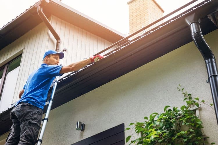 Gutter Cleaning Essentials